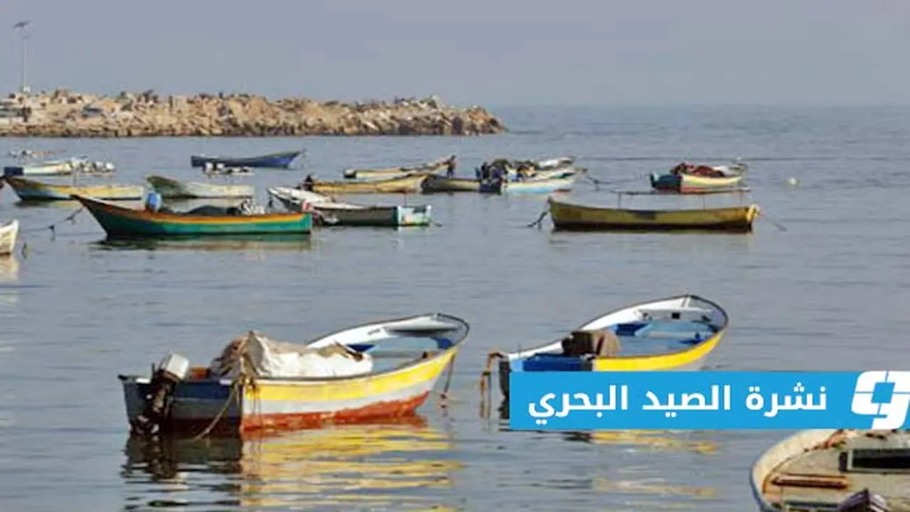 تحذيرات من رياح تصل إلى 40 عقدة وارتفاع الموج لأربعة أمتار بالبحر